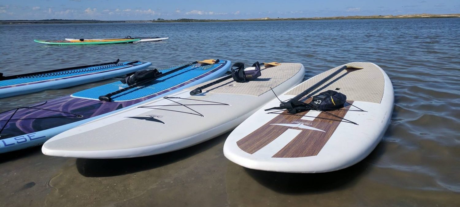 Adventures Await: Best Paddle Boards for Ocean And Lake Use